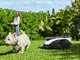 Ecovacs Goat O1200 LiDAR PRO - Robot tagliaerba - Senza impianto