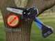 Vesco X180 - Potatore a batteria manuale - SENZA BATTERIE E CARICABATTERIE