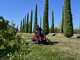 Efco ZERO TURN EFCO ZT 108/19 KV - Trattorino rasaerba professionale a raggio zero - Larghezza di taglio 108 cm - Taglio mulching e scarico laterale