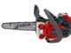 Efco MTT 2500 R - Motosega a scoppio da taglio - Lama carving da 25cm