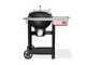 Weber Performer - Barbecue a carbone