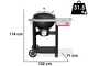 Weber Performer - Barbecue a carbone
