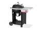 Weber Performer - Barbecue a carbone