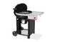 Weber Performer - Barbecue a carbone