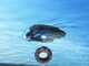 Dreame J1 - Robot per pulire piscina a batteria - Gestione Tramite App