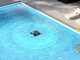 Dreame J1 - Robot per pulire piscina a batteria - Gestione Tramite App