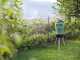 Stocker Geyser Evo 25L - Nebulizzatore antizanzare da giardino a batteria - 21V - SENZA BATTERIA E CARICABATTERIA