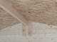 Alce Forrest 249x249 - Casetta da giardino in legno - Con finestre e porta a doppia anta - 249x249x204 cm