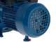 Hyundai JET100L - Elettropompa autoadescante da giardino con attacchi da 1" (25mm) - Acque chiare - 750 W