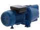Hyundai JET100L - Elettropompa autoadescante da giardino con attacchi da 1" (25mm) - Acque chiare - 750 W