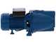 Hyundai JET100L - Elettropompa autoadescante da giardino con attacchi da 1" (25mm) - Acque chiare - 750 W