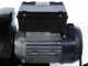 Palumbo Pavi SM 5 INOX - Passapomodoro con motore elettrico 600W 220V