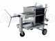 Enotecnica Pillan FC42 - Filtro professionale per cantina da 20 cartoni 40x40 cm - telaio/pompa acciaio INOX