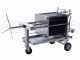 Enotecnica Pillan FC43 - Filtro professionale per cantina FC43 da 30 cartoni 40x40 cm - telaio/pompa acciaio INOX
