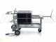 Enotecnica Pillan FC43 - Filtro professionale per cantina FC43 da 30 cartoni 40x40 cm - telaio/pompa acciaio INOX