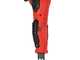 Aima Giulia Cordless - Abbacchiatore elettrico 250cm a batteria al litio 2x 21V 9Ah - Asta fissa in carbonio