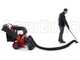 GeoTech-Pro LV650 SPL Deluxe - Aspirafoglie-Biotrituratore a scoppio trazionato - Loncin 6.5 HP