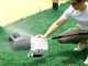 Wybot Osprey 800 - Robot pulisci piscina a batteria - Gestione Tramite App