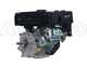 GeoTech-Pro PCS70L - Biotrituratore a scoppio professionale  - Motore benzina Loncin 7 HP
