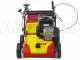 Wolf Garten VA 357 B - Arieggiatore a lame fisse - Motore B&amp;S 550