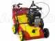 Wolf Garten VA 389 B - Arieggiatore a lame fisse - Motore B&amp;S 750