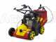 Wolf Garten VA 389 B - Arieggiatore a lame fisse - Motore B&amp;S 750