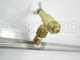 Coppia aste inox irrorazione con getti a farfalla in ottone 3+3 completo di supporti INOX