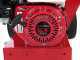 Ceccato Tritone One - Biotrituratore a scoppio - Motore Honda GX 200