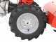 Diesse Minitriss - Motocoltivatore benzina - Honda GX200 - 5.8HP