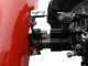Diesse Minitriss - Motocoltivatore benzina - RATO R210 - 6.7HP