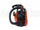 Echo CS 2511 TES - Motosega a scoppio da potatura - Lama da 25cm