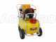 GeoTech SP 550 4S ALU - Pompa irroratrice a scoppio - 4 tempi a benzina
