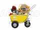 GeoTech SP 550 4S ALU - Pompa irroratrice a scoppio - 4 tempi a benzina