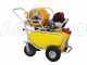 GeoTech SP 550 4S ALU - Pompa irroratrice a scoppio - 4 tempi a benzina