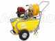 GeoTech SP 540 4S - Pompa irroratrice a scoppio carrellata - 4 tempi a benzina