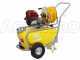 GeoTech SP 540 4S - Pompa irroratrice a scoppio carrellata - 4 tempi a benzina