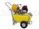 GeoTech SP 540 4S - Pompa irroratrice a scoppio carrellata - 4 tempi a benzina