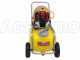 GeoTech SP 540 4S - Pompa irroratrice a scoppio carrellata - 4 tempi a benzina