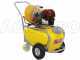 GeoTech SP 540 4S - Pompa irroratrice a scoppio carrellata - 4 tempi a benzina