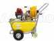 GeoTech SP 540 4S - Pompa irroratrice a scoppio carrellata - 4 tempi a benzina