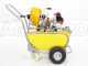 GeoTech SP 540 2S - Pompa irroratrice a scoppio carrellata - 2 tempi a miscela