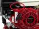Ceccato Olindo BULL SPL16-TCH - Spaccalegna a scoppio - Verticale