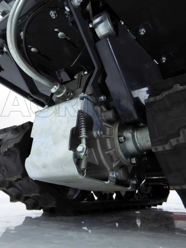 GeoTech-Pro GeoPorter 330D BS - Motocarriola cassone dumper 300Kg