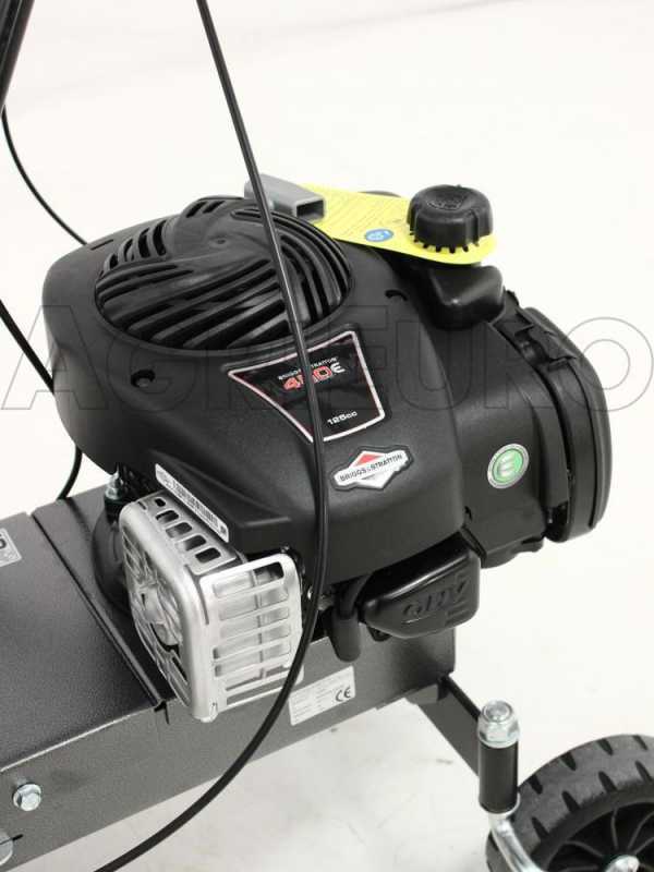 Eurosystems Carry - Motocarriola a ruote a semovenza trazionata 100Kg