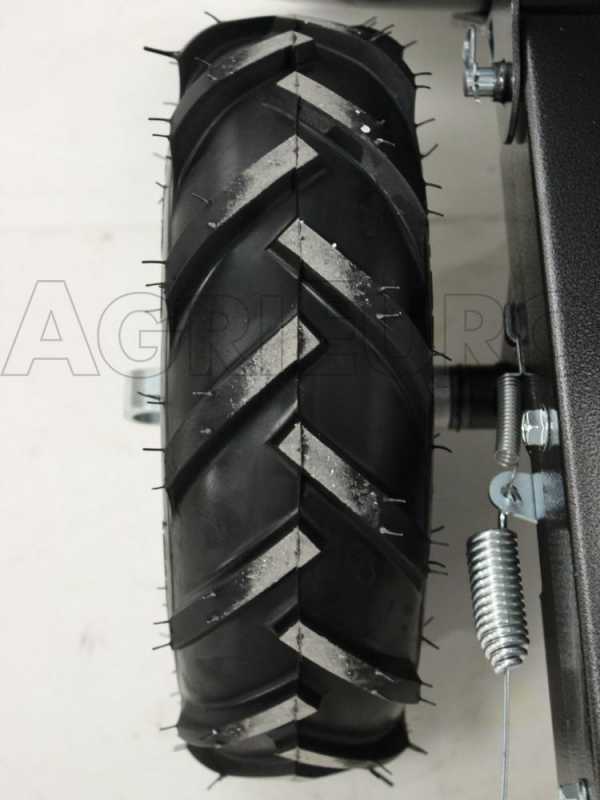 Eurosystems Carry - Motocarriola a ruote a semovenza trazionata 100Kg