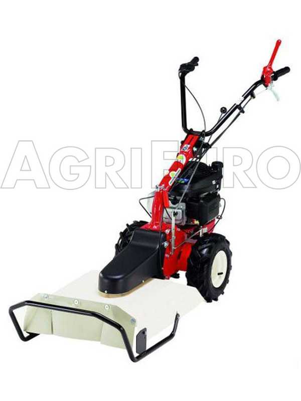Eurosystems P55 - Decespugliatore a ruote a benzina - Loncin 196cc