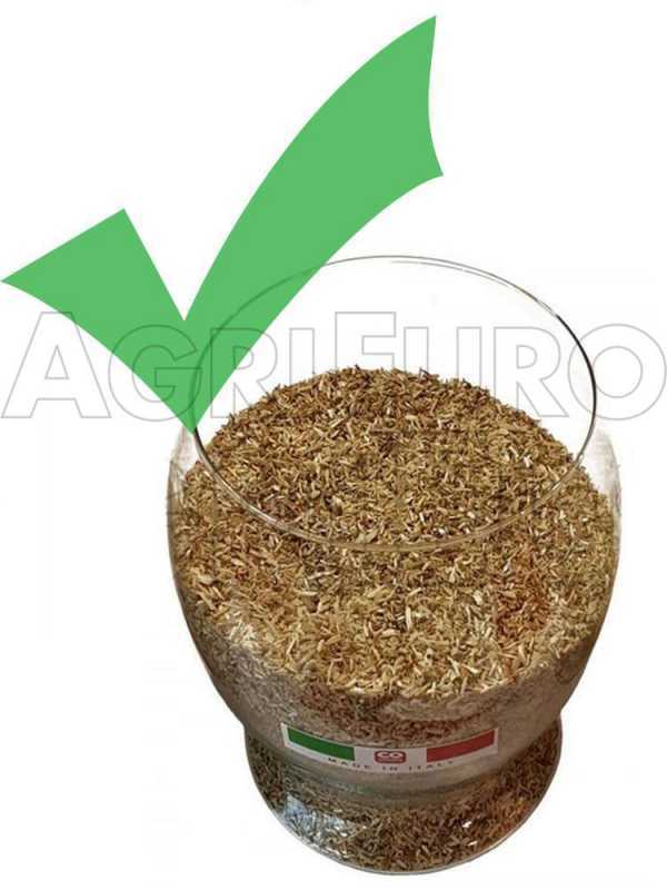 Ceccato Olindo Monofase 3 Hp - Pellettatrice per produzione in casa del pellet da riscaldamento