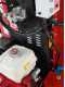 Ceccato Tritone Super Monster - Biotrituratore a benzina professionale - Motore Honda GX390