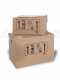 Eurosystems TM 70 EVO - Motofalciatrice multifunzione rotativa - B&amp;S 850E I/C