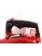 Geotech BBV258 - Soffiatore aspiratore trituratore a scoppio 3in1